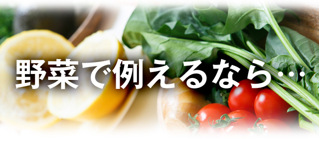 野菜で例えるなら…