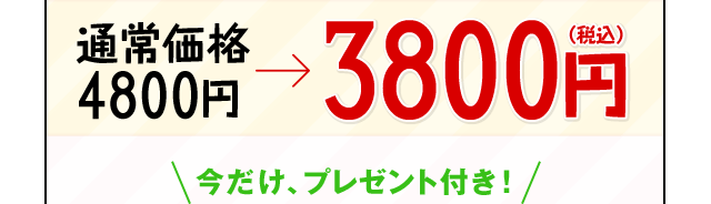 通常価格 4800円 送料無料 3800円(税込) 今だけプレゼント付き! 