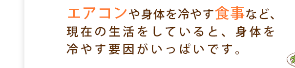 エアコンや身体と冷やす食事など、現在の生活をしていると、身体を冷やす要因がいっぱいです