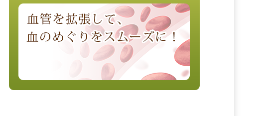 血管を拡張して、血のめぐりをスムーズに！