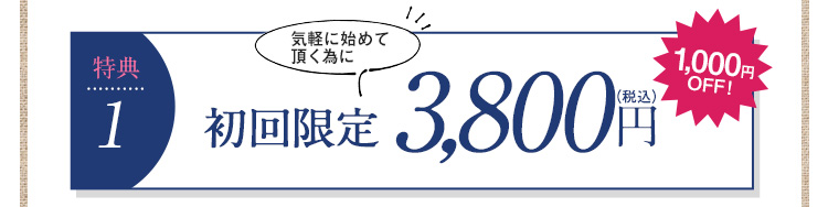 特典１　初回限定980円　約80%OFF!