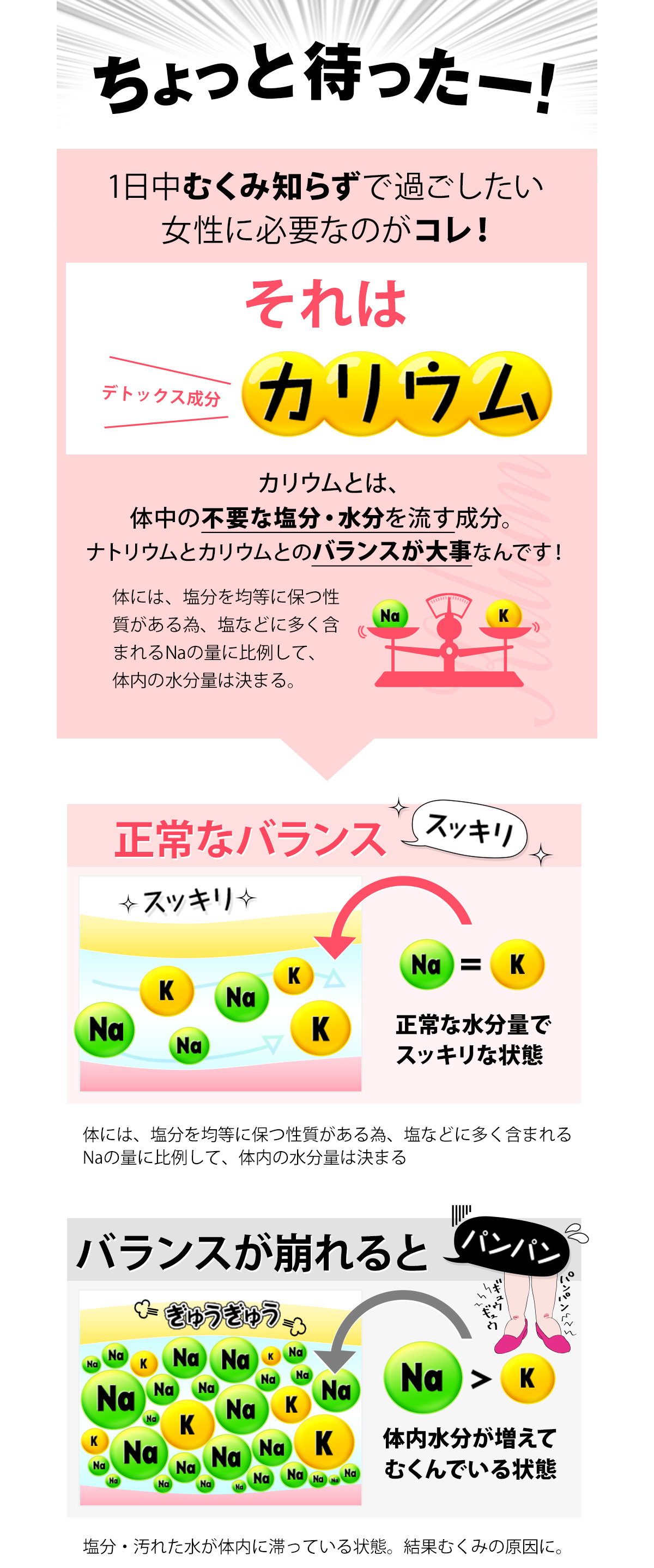 ちょっと待ったー！